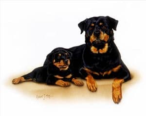 Signed Rottweiler & Pup Print