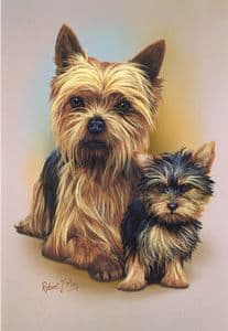 Yorkshire Terrier & Pup Print RMDH151
