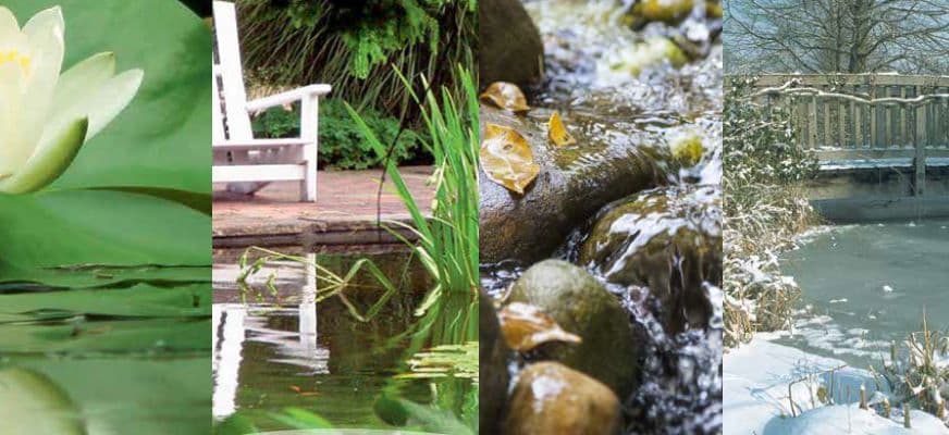 all season pum for water gardens