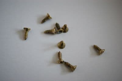 Brass Plated Steel Screw (qty 10)