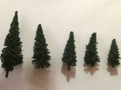 Spruce Trees