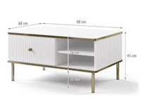 Camelia White And Gold Elegant Storage Coffee Table