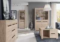 Selby Light Oak Effect 2 Door Low  Display Cabinet SZDJ03