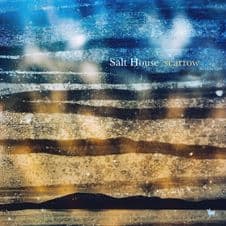 Salt House - Scarrow Vinyl LP