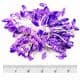 , Dark purple, 80 pieces [approximate], [ST1555]