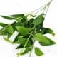 Artificial leaves, Artificial fibers and wires, 1 Plastic flowers, 40cm Plastic flowers, [ST1404]