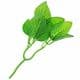 Artificial leaves, Plastic and wires, green, 30cm [approximate], 1 Artificial leaves, [ST1595]