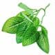 Artificial leaves, Plastic and wires, green, 30cm [approximate], 1 Artificial leaves, [ST1595]
