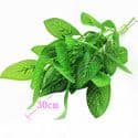 Artificial leaves, Plastic and wires, green, 30cm [approximate], 1 Artificial leaves, [ST1595]