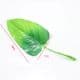 Calla leaf, Plastic, green, 7cm  x  13cm, 10 pieces, (ST545)