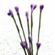 Flower stamen garland, Indigo, 5 pieces, 41cm, [ST1209]