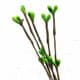 Flower stamen garland, Light green, 5 pieces, 41cm, [ST1206]