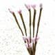 Flower stamen garland, Light pink, 5 pieces, 41cm, [ST1208]