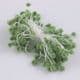 Flower stamen, green, 80 pieces (approximate), [ST872]