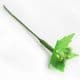Flower stamen, green, black, 10 pieces, [ST981]