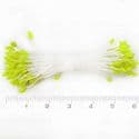 Flower stamen, Green-Yellow, 90 pieces [approximate], [ST1037]