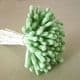 Flower stamen, Light green, 100  pieces, 12cm, (st91)