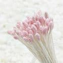 Flower stamen, pink, 85 pieces [approximate], [ST1195]