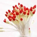 Flower stamen, Pinkish red, Light Yellow, 100 pieces [approximate], [ST1615]
