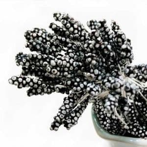 Foam Flower stamen, black, white, 80 pieces [approximate], [ST1059]