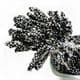 Foam Flower stamen, black, white, 800 pieces [approximate], [ST1061]