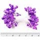 Foam Flower stamen, Dark purple, 80 pieces [approximate], [ST1555a]