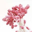 Foam Flower stamen, Magenta, 80 pieces [approximate], 5.5cm, [ST1429]