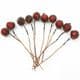 Frost fruit, Flower stamen and wires, Burgandy, 7cm x 1.2cm x 1.2cm, 10 pieces, [ST1611]