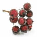 Frost fruit, Flower stamen and wires, Burgandy, 7cm x 1.2cm x 1.2cm, 10 pieces, [ST1611]