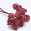 Frost fruit, Flower stamen and wires, Burgandy, 7cm x 1.2cm x 1.2cm, 10 pieces, [ST833]