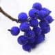 Frost fruit, Flower stamen and wires, Dark blue, 7cm x 1.2cm x 1.2cm, 10 pieces, [ST991]