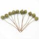 Frost fruit, Flower stamen and wires, Olive, 7cm x 1.2cm x 1.2cm, 10 pieces, [ST1612]