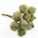 Frost fruit, Flower stamen and wires, Olive, 7cm x 1.2cm x 1.2cm, 10 pieces, [ST1612]