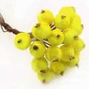 Frost fruit, Flower stamen and wires, Yellow, 7cm x 1.2cm x 1.2cm, 10 pieces, [ST992]