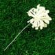 Gypsophila flower stamen, Cream colour, 12 pieces, Long 8.5cm, [ST1260]