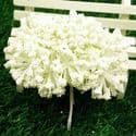 Gypsophila flower stamen, Cream colour, 12 pieces, Long 8.5cm, [ST1260]