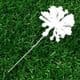Gypsophila flower stamen, Cream colour, 12 pieces, Long 8.5cm, [ST1265A]