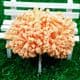 Gypsophila flower stamen, orange, 12 pieces, Long 8.5cm, [st1261]