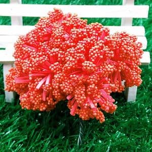 Gypsophila flower stamen, Pinkish red, 12 pieces, Long 8.5cm, [st1262]