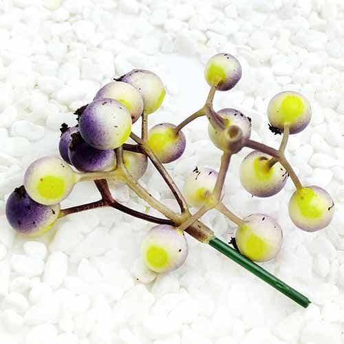Little fruit foam Dark purple 2 bunches each bunch has 9 berries
