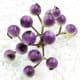 Little fruit, foam, Dark purple, 2 bunches [each bunch has 9 berries], [ST1149]