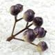 Little fruit, foam, Dark purple, 2 bunches [each bunch has 9 berries], [ST1152]