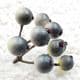 Little fruit, foam, Teal, 2 bunches [each bunch has 9 berries], [ST1153]