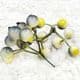 Little fruit, foam, Teal, 2 bunches [each bunch has 9 berries], [ST1153]