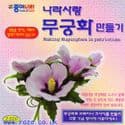 Making mugunghwa in patriotism, 11cm by 4.5cm, 10 sheets, (ok395)