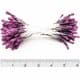 Matt bulb Stamens, Dark purple, Matt [not shiny], 120 pieces [approximate], [ST1477]