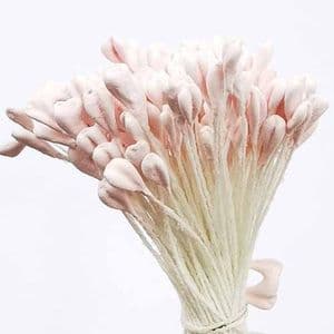 Matt cereal Stamens, Light pink, Matt [not shiny], 170 pieces [approximate], [ST1471]