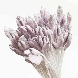 Matt cereal Stamens, Light purple, Matt [not shiny], 160 pieces [approximate], [ST1582]
