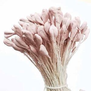 Matt cereal Stamens, purple, Matt [not shiny], 170 pieces [approximate], [ST1472]