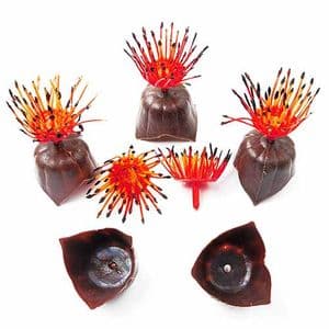 Other flower stamen, Plastic, Burgandy, 3m x 3cm x 4cm, 5 pieces, [ST1343]